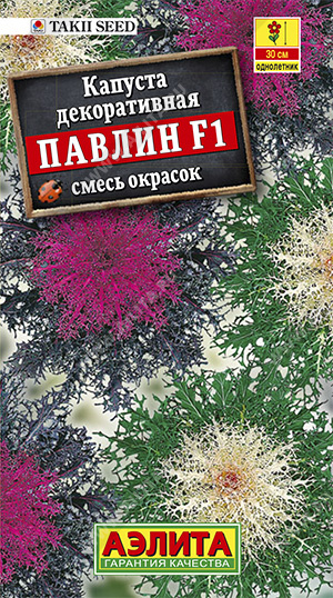 Капуста декоративная Павлин F1, смесь окрасок ф.п.7шт