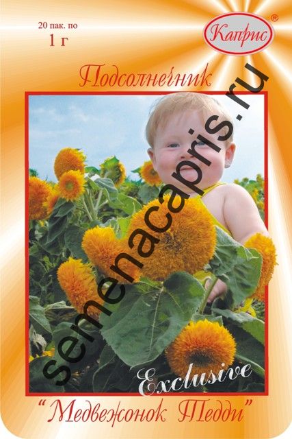 Подсолнечник Медвежонок Тедди низ. махровый 1г (уп.20пак)