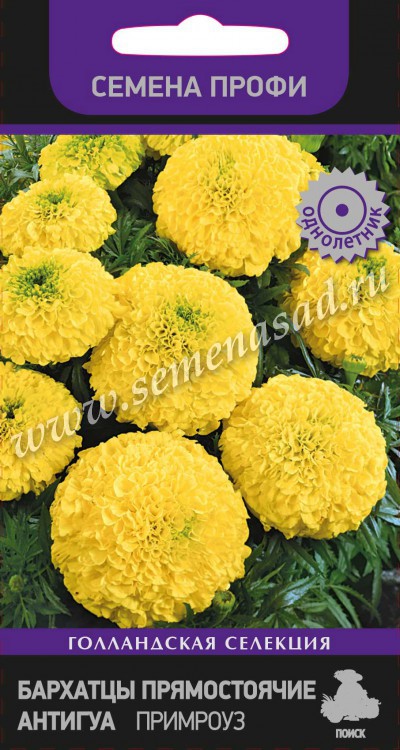 Бархатцы Антигуа Примроуз прямост. (Семена Профи) (ЦВ) («1) 15шт