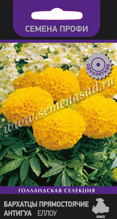 Бархатцы Антигуа Еллоу прямостоячие (Семена Профи) (ЦВ) («1) 15шт