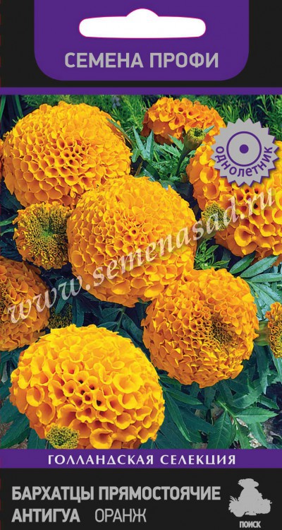 Бархатцы Антигуа Оранж прямостоячие (Семена Профи) (ЦВ) («1) 15шт