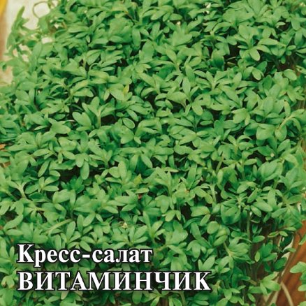 Кресс-салат Витаминчик, ранний 25,0г
