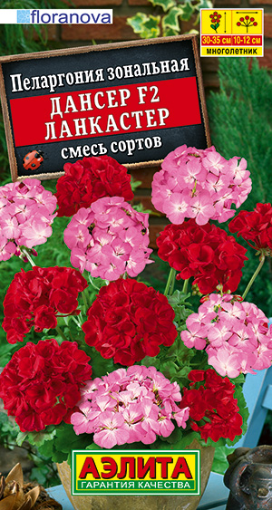 Пеларгония Дансер F2 Ланкастер, смесь сортов ф.п.5шт