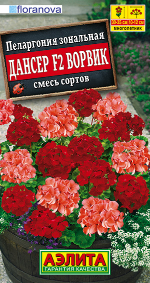 Пеларгония Дансер F2 Ворвик, смесь окрасок ф.п.5шт