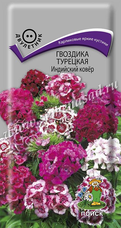 Гвоздика Индийский ковёр (бородатая) турецкая (ЦВ) («2) 0,3гр.