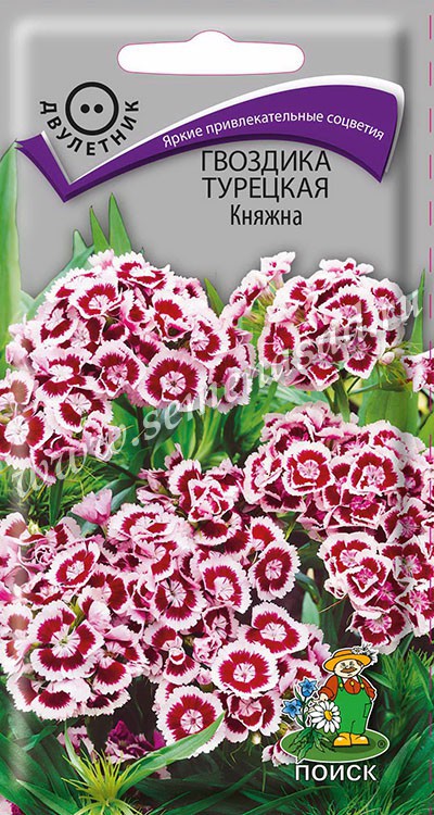 Гвоздика Княжна (бородатая) турецкая (ЦВ) («2) 0,3гр.