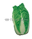 Капуста пекинская Базуко F1 (пак.2500шт)