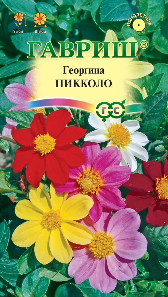 Георгина Пикколо, смесь 0,3 г Н9