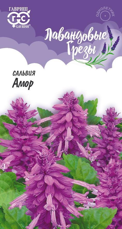 Сальвия Лавандовая Амор* 4 шт.