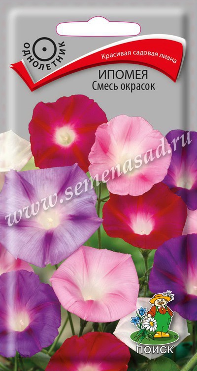 Ипомея Смесь окрасок (ЦВ) («1) 0,9гр.