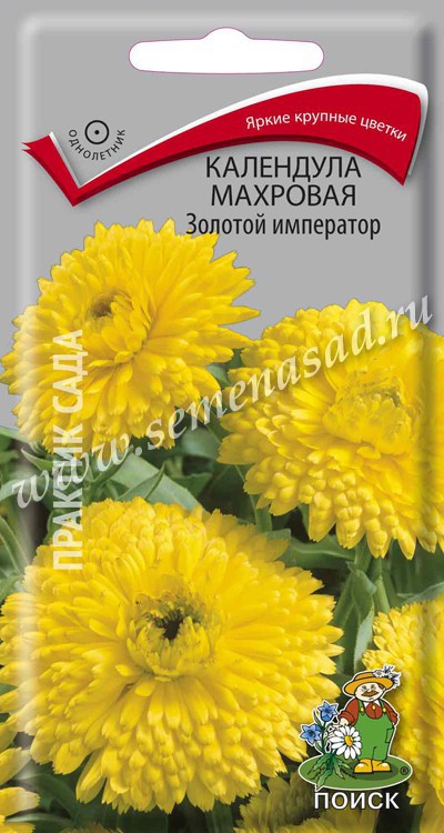Календула Золотой император махровая (ЦВ ) («1) 1гр.