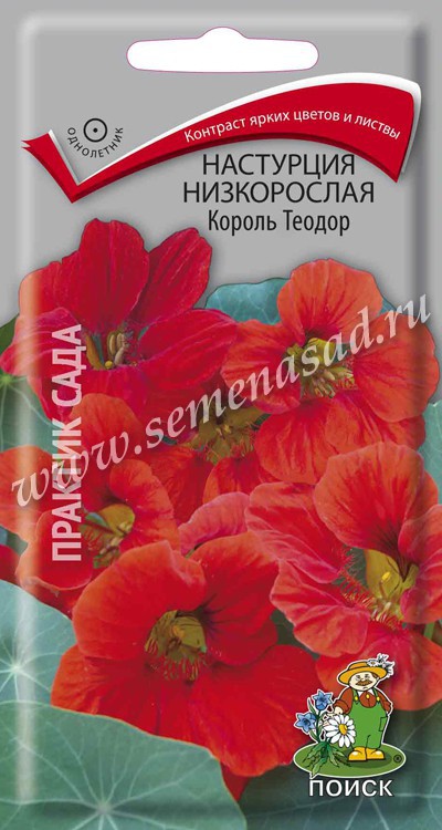 Настурция Король Теодор низкорослая (ЦВ) («1) 1гр.