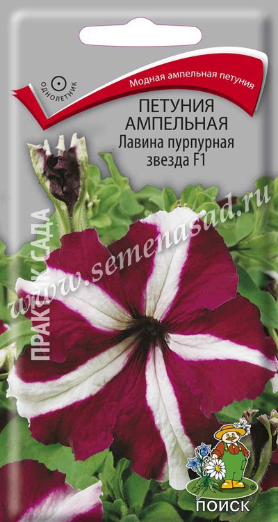 Петуния Лавина пурпурная звезда F1 ампельная (ЦВ) («1) 10шт.