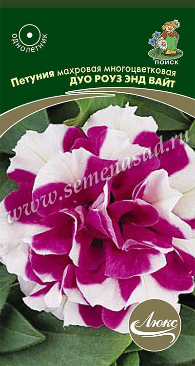 Петуния Дуо роуз энд вайт махровая многоцв. (ЦВ) (Люкс»1) 10шт.