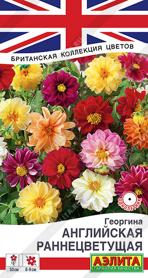 Георгина Английская раннецветущая, смесь сортов ф.п.0,3г