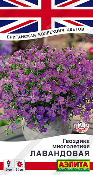 Гвоздика Лавандовая многолетняя ф.п.0,05г