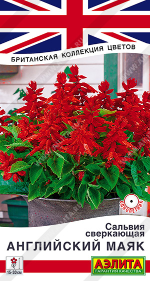 Сальвия Английский маяк ф.п.7шт