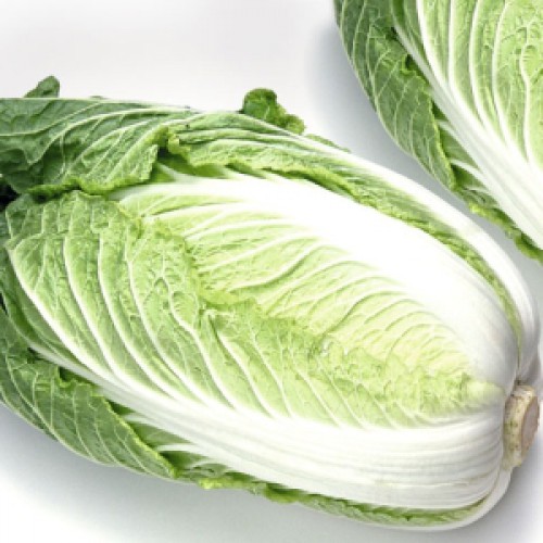 Капуста пекинская Айкидо F1 (пак. 1000шт)