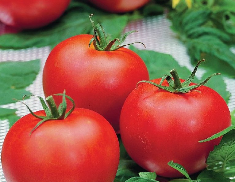 Томат Полфаст F1 пак.1000шт