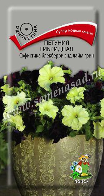 Петуния Софистика блекберри энд лайм грин (ЦВ) 5шт