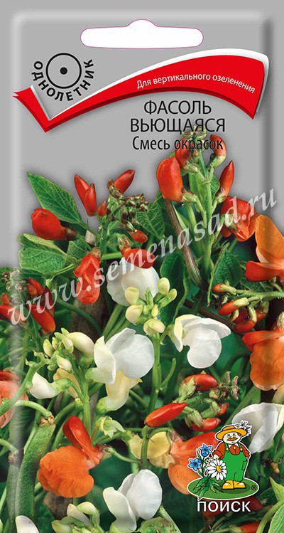Фасоль вьющаяся Смесь окрасок(ЦВ) («1) 5шт.