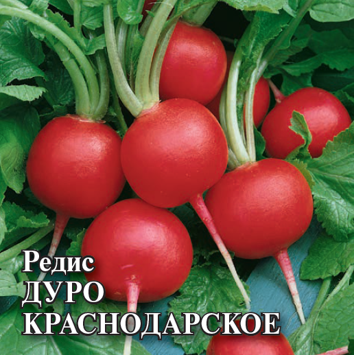 Редис Дуро Краснодарское 50,0 г