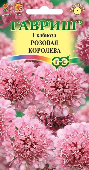 Скабиоза Розовая королева махр. 6 шт.Н22