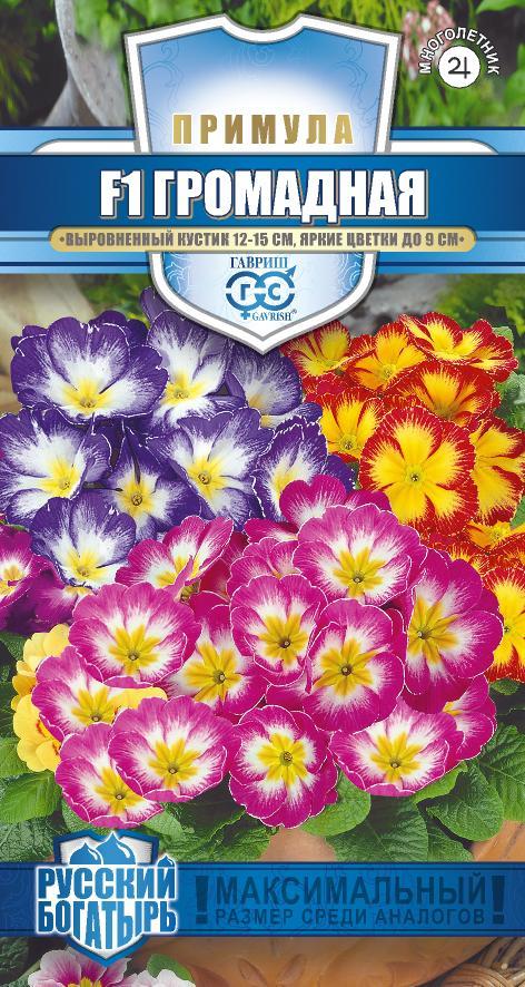 Примула Громадная F1 (обыкновенная грунтовая) смесь  5 шт. серия РБ Н18