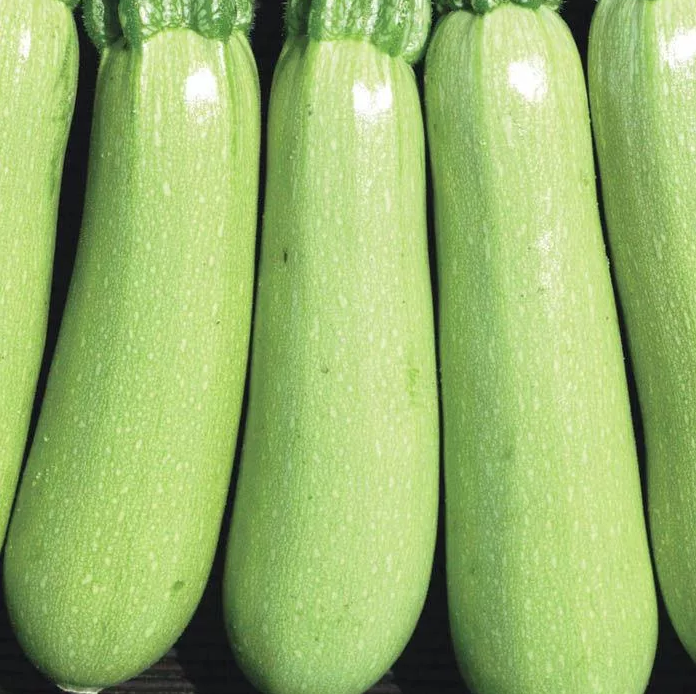 Кабачок Горный вес.