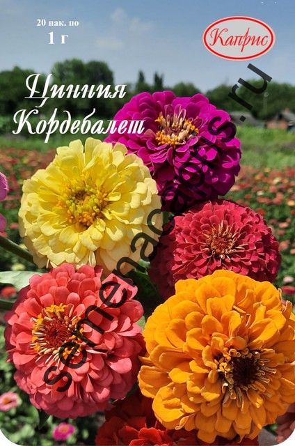 Цинния Кордебалет смесь 1 г (уп. 20пак)