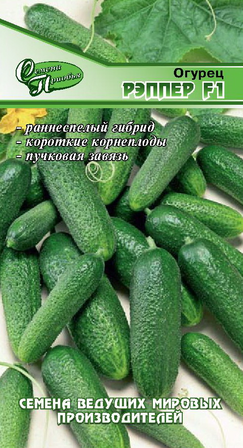 Огурец Рэппер F1 ф.п.10шт