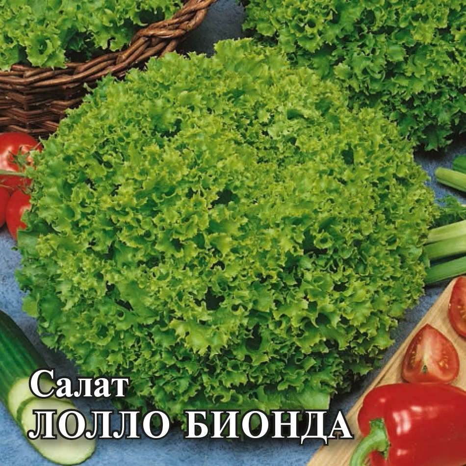 Салат Лолло Бионда листовой,зеленый 50,0 г