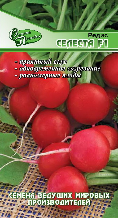 Редис Селеста F1 ф.п.1г