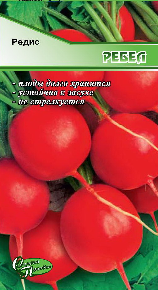 Редис Ребел ф.п.1гр СП