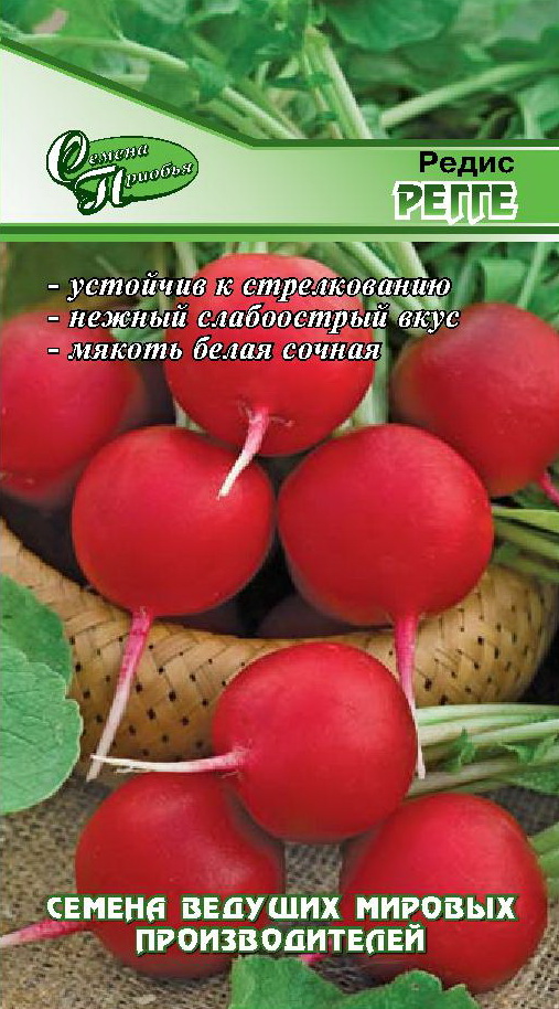 Редис Регге ф.п.1гр