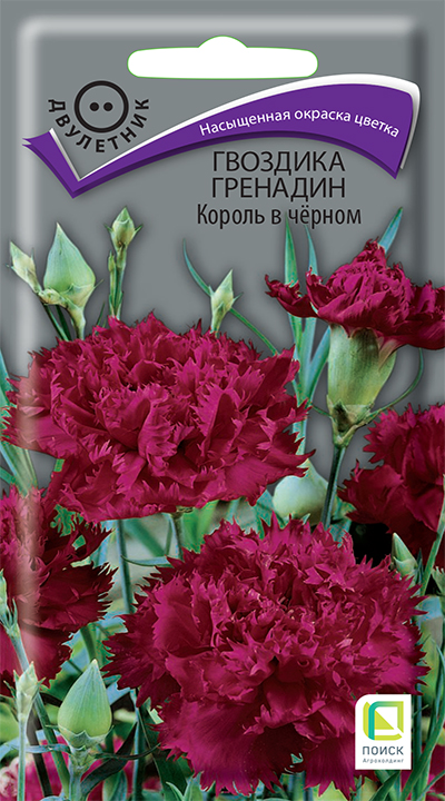 Гвоздика Король в черном, гренадин (ЦВ) («2) 0,1гр.