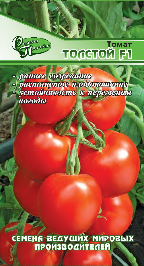 Томат Толстой F1 ф.п.15шт СП