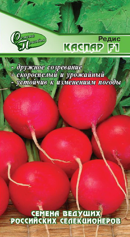 Редис Каспар F1 ф.п.1г