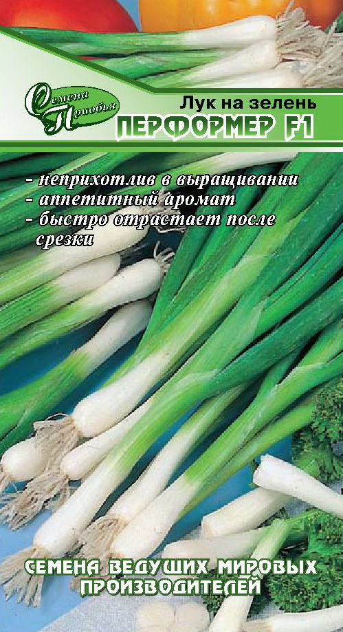 Лук на зелень Перформер F1 ф.п.1г