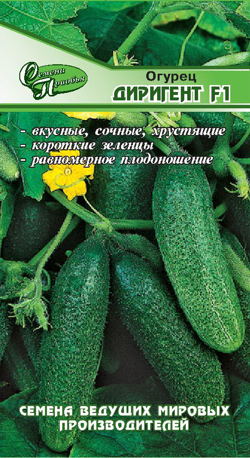 Огурец Диригент F1 ф.п.10шт