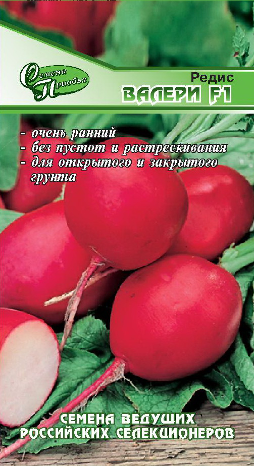 Редис Валери F1 ф.п. 1г