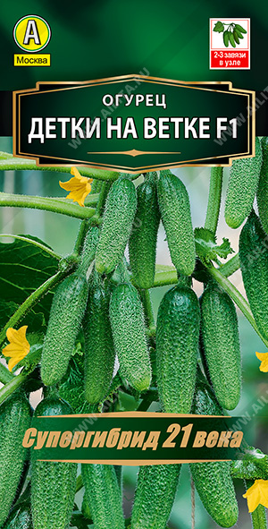 Огурец Детки на ветке F1 ф.п.10шт