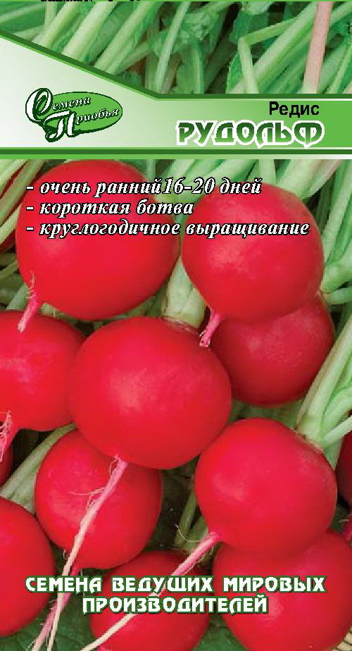 Редис Рудольф ф.п.1г