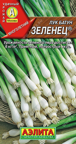 Лук батун Зеленец ф.п.0,5г