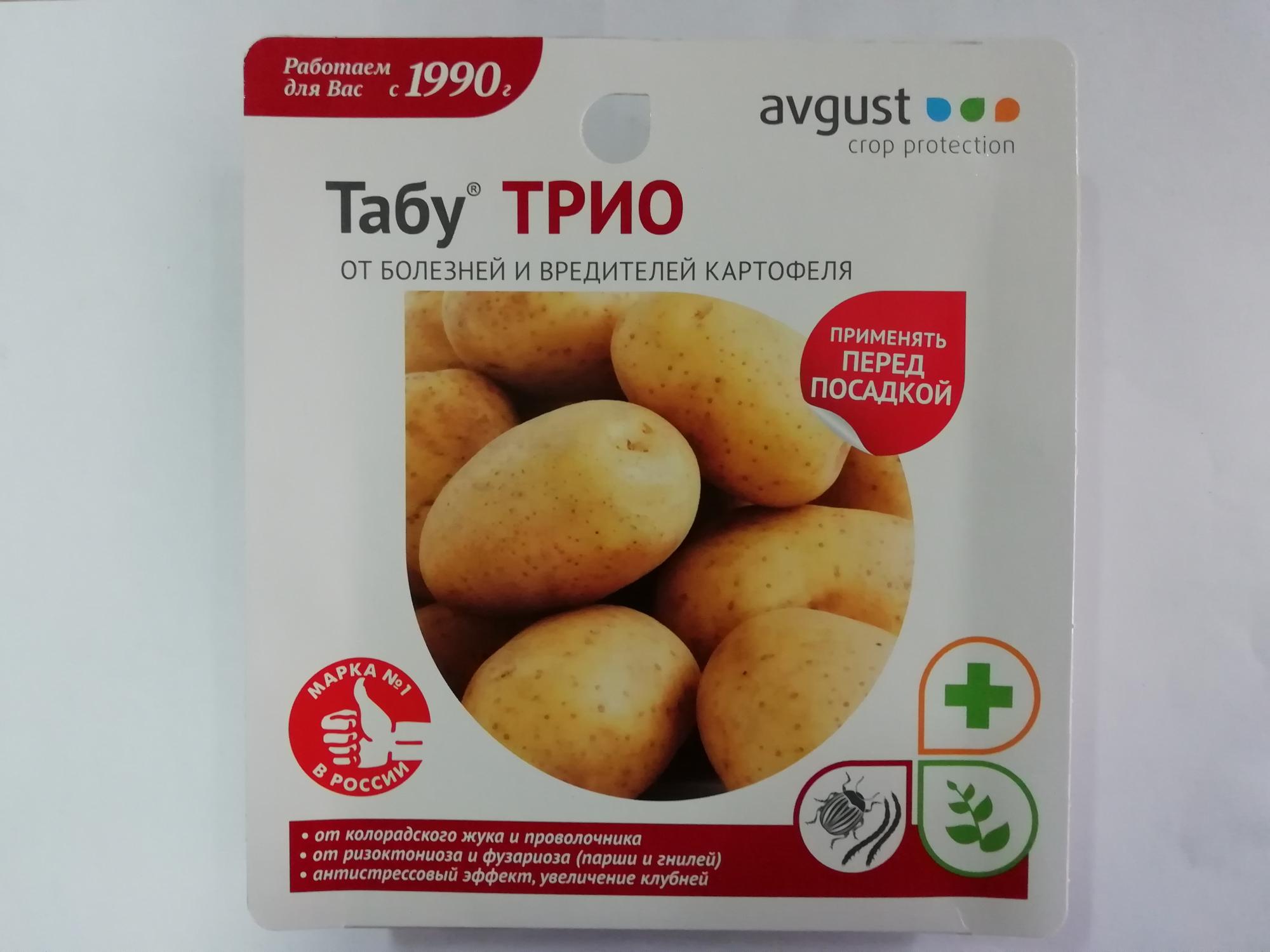 Табу Трио Август/24