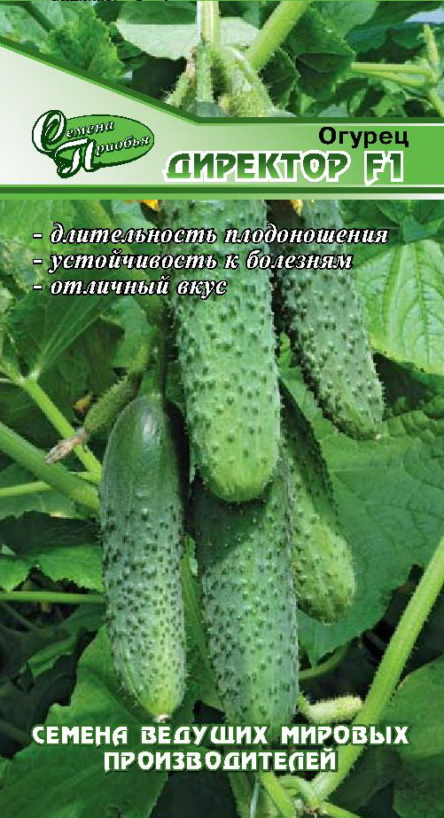 Огурец Директор F1 ф.п.10шт