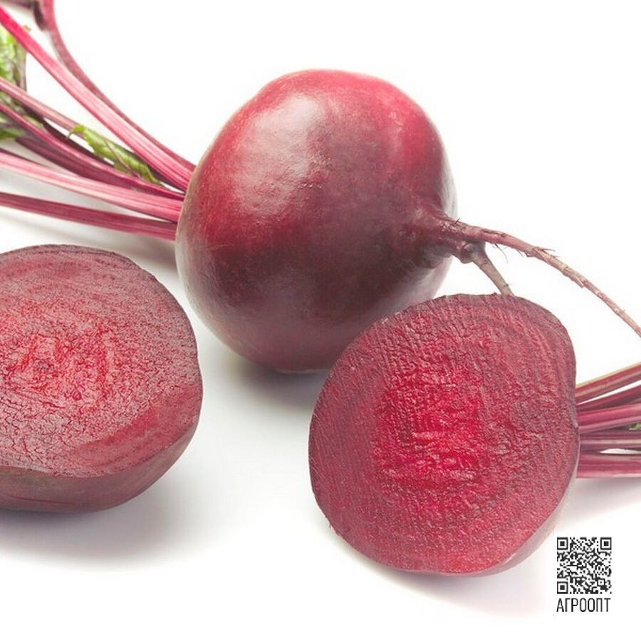 Свекла Цеппо F1 фр. 2,75-3,50 (уп. 25000шт)