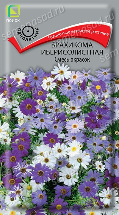 Брахикома Смесь окрасок иберисолистная (ЦВ) («1) 0,03гр.