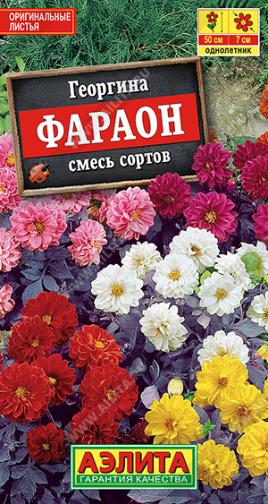 Георгина Фараон, смесь сортов ф.п.0,3г