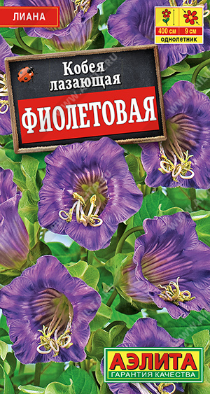 Кобея фиолетовая ф.п.0,45г